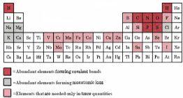 LivetsmolekylerQAtomer ~28avgrundämnenahiMasiorganismer 7 Atomer ~92C,H,O,N,P,S