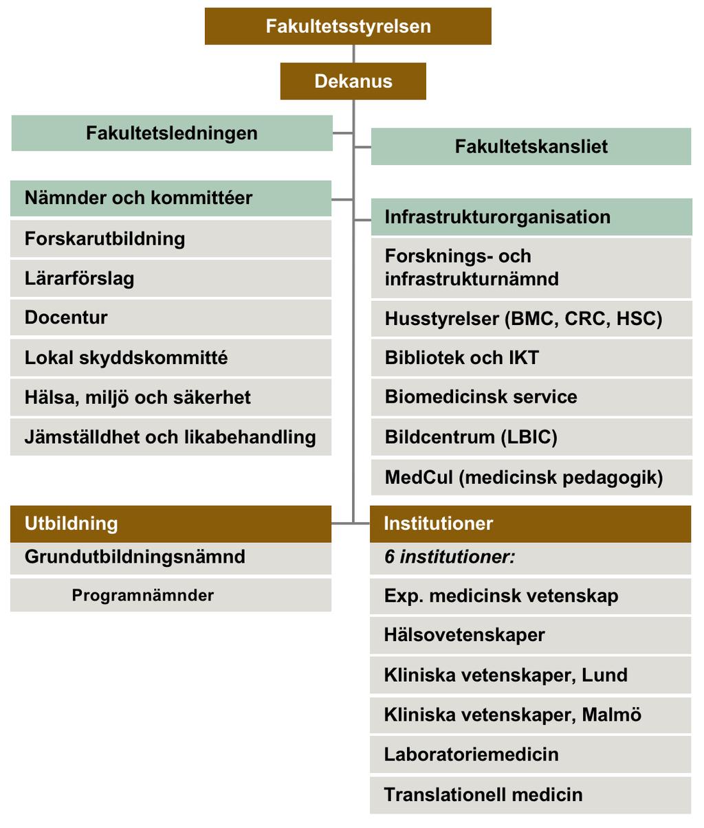 Dnr STYR 2018/620 3 1 Organisation 1.