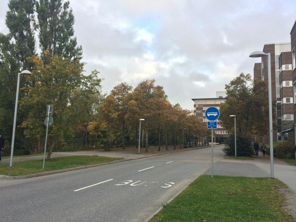 Grönlandsgatan bör dock ses över ur ett trafiksäkerhets- och framkomlighetsperspektiv för cyklande samt utifrån ett barnperspektiv.