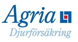 Klass 8 3-åriga Ston som ej fölat 20 Tombo Anna Till salu! Svbr Sto 38150179 (Chip:752098100639702) = född:2015 hos: Kerstin Enberg Stuteri Tombo Ludvika f: Wilfred v.d. Zandhoeve 38050840 RS 555 m: Haganäs Pippinette 38030517 RS 5583 mf: Timothy v.