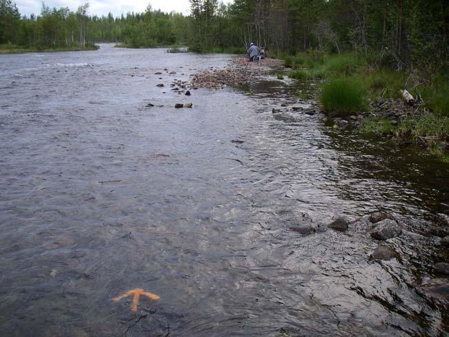 3.2.10 Lidvista (7318143-1680230) Figur 10 visar elfiskelokalen Lidvista, Piteälven 2007-08-21 nerifrån och på kartan markerat med rött B.