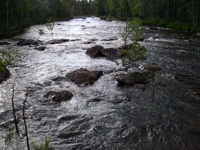 3.2.13 Åkerselforsen (7313685-1700912) Figur 13 visar elfiskelokalen Åkerselsforsen, Piteälven 2007-08-18 nerifrån och på kartan markerat med rött E.
