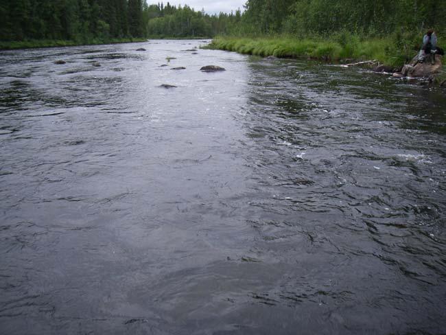 3.3.2 Junka obj 102 (7330573-1680144) Figur 17 visar elfiskelokalen obj 102, Varjisån 2007-08-17 nerifrån och på kartan markerat med rött B.