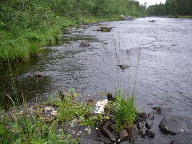 3.3.4 Junkaberget obj 69 (7329816-1684379) Figur 19 visar elfiskelokalen obj 69, Varjisån 2007-08-17 nerifrån och på kartan markerat med rött D.