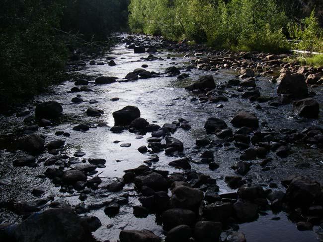 3.7 Elfiske Stockforsälven 2007 Stockforsälven (730541-173559) har elfiskats på samma två lokaler 2004-07. Kronfors ligger en ganska lång sträcka uppströms Källbobron. 3.7.1 Kronfors mellersta (7316810-1729560) Figur 37 visar elfiskelokalen Kronfors mellersta, Stockforsälven 2007-08-15 nerifrån och på kartan markerat med rött A.