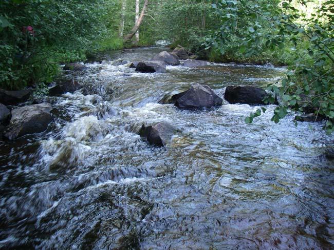 3.7.2 Nedströms Källbobron (7305410-1735590) Figur 38 visar elfiskelokalen Källbobron, Stockforsälven 2007-08-15 nerifrån och på kartan markerat med rött B.