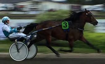 Odin Tabac (14) Moe Odin 3 748.630 3. Blås Undan (7) Lome Kongen 9 730.600 4. Närby Panik (7) Järvsöviking 4 351.200 5. Gustav E. (6) Lome Elden 4 343.800 6. Smedsbo Faksen (6) Järvsöfaks 2 259.272 7.