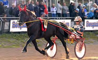 Mix Mollyn (6) Järvsöfaks 3 193.000 12. Fender (6) Fakse 2 182.800 13. Wilda Fille (6) Bork Odin 4 173.200 14. Faks Kevin (6) Moe Odin 7 171.800 15. Motoddy (6) Odin Tabac 4 155.500 16.