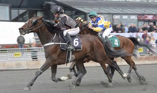 Twin s Vici Lime 14. Blits Buitenzorg 15. Caddie June 16. The Patriot 17. Albäck Amy 18. Hamras One More 19. Werdelin 20. Lawyer Lohr 21. Quantum Gliding 22. Just Indeed 23. Noble Power 24.