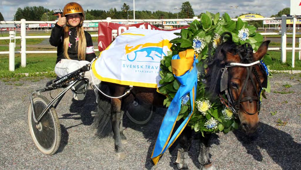 640 Ellina Miettunen Kategori B Lopp Bana Datum Häst Tid/dist. Kusk SM Kategori B Vi 12 juli Thyra Tyrann 1.36,7a/2.