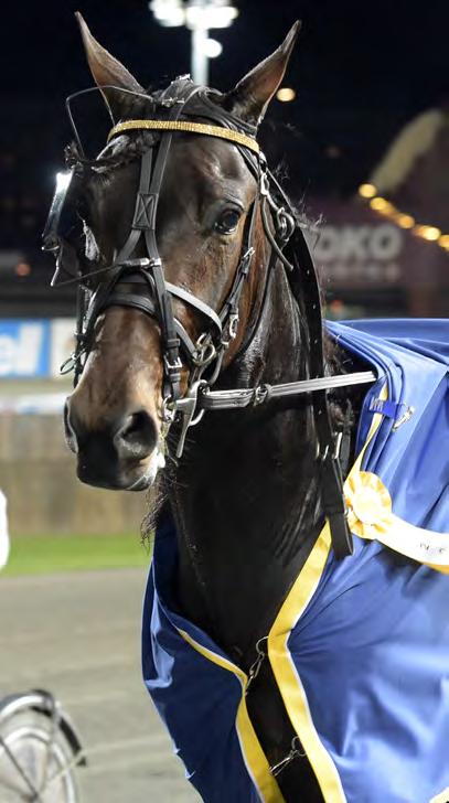074.000 kr. 1.609 m. Auto. 1. Maze Runner 13,3 537.000 15,12 Takter Johnny 2. Felicity Shagwell 13,3 268.500 34 Eklundh André 3. Mariah s Baby K.V. 14,0 134.250 738 Widell Kaj 4. Ajabaja 14,1 64.