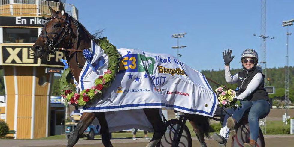GRUPPLÖPNINGAR 3-åringar. Coin Perdu inledde storloppssäsongen 2017 som han avslutade den 2016, med seger. Som vanligt hade han sällskap av skötaren Anna Hagman och i sulkyn satt Erik Adielsson.