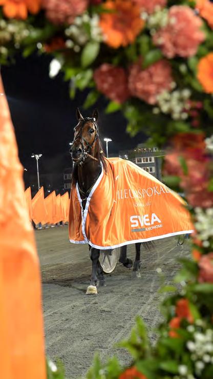 Cruzado Dela Noche (US) 10,2 100.000 66 Takter Johnny 5. Tango Negro* (IT) 10,4 50.000 872 Ingves Peter Opl.