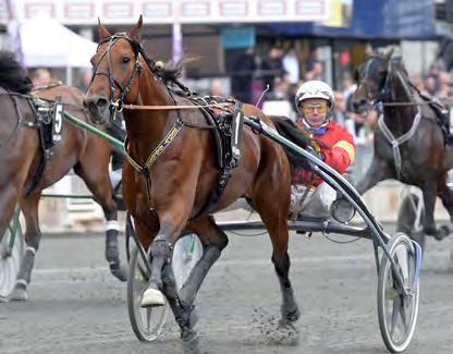 000 289 Lennartsson Per 4. Tobin Kronos (IT) 12,5 62.500 115 Kihlström Örjan 5. Amazing Dynamite* (DK) 12,8 37.500 330 Ecce Ken 6. Cash and Go* (FR) 13,2g 20.