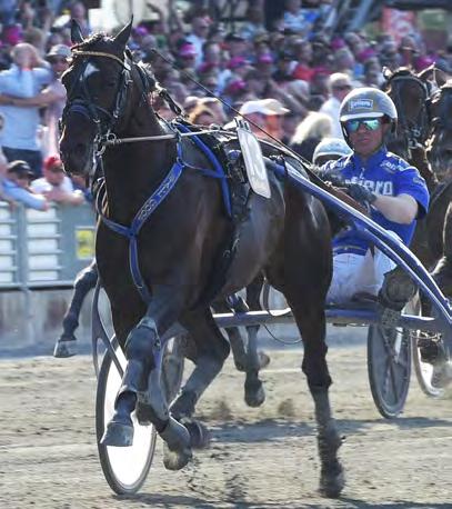 GRUPPLÖPNINGAR Grupp II Internationella. SWEDEN CUP Solvalla 27 maj. Lätt bana. 1.115.000 kr. 1.609 m. Auto. 1. Volstead (US) 09,3 600.000 3,58 Kihlström Örjan 2. Västerbo HighFlyer 09,4 300.