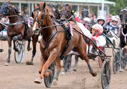 Breidabliks Nubbe 10,1 115 Lugauer Conrad Fire to the Rain (US) 10,2 512 Ohlsson Ulf d Buzz Mearas* d8g 45 Gelormini Gabriele d Trendy O.K.* (IT) d9g 221 Gocciadoro Alessandro Segrare: hingst 6 år e.
