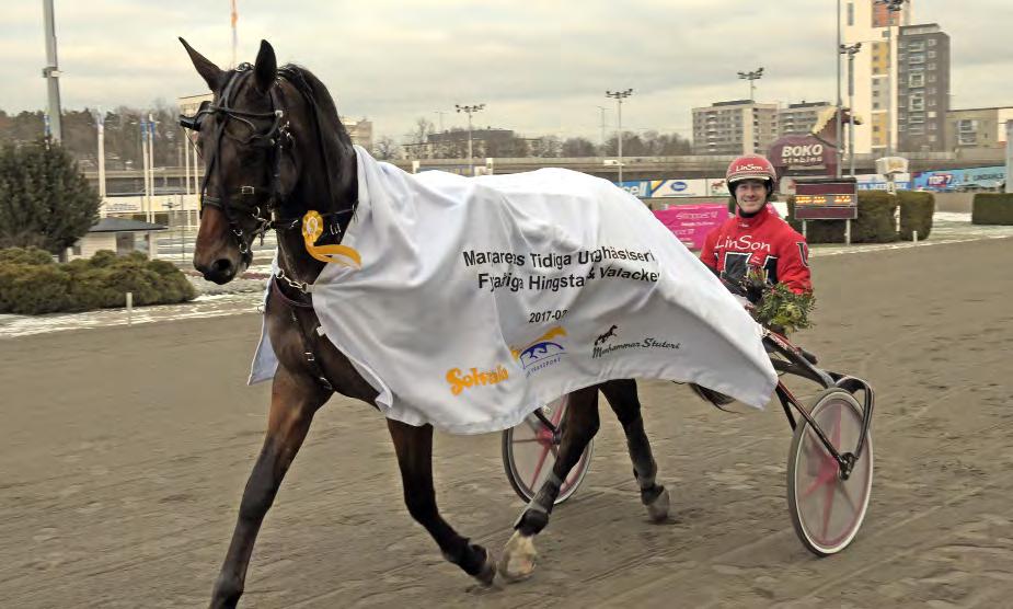 MARGARETAS TIDIGA UNGHÄSTSERIE 16 lopp på Solvalla under 2017,