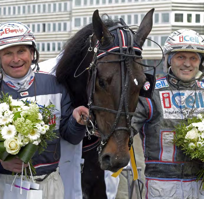 Uppfödare: Maria Eriksson och Lars-Ove Blomkvist Treåriga hingstar