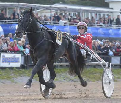 Odin Tabac 19,9 11.000 28 Westholm Jörgen 7. Myr Faksen* (NO) 20,1 11.000 790 Holm Hans Christian Opl.
