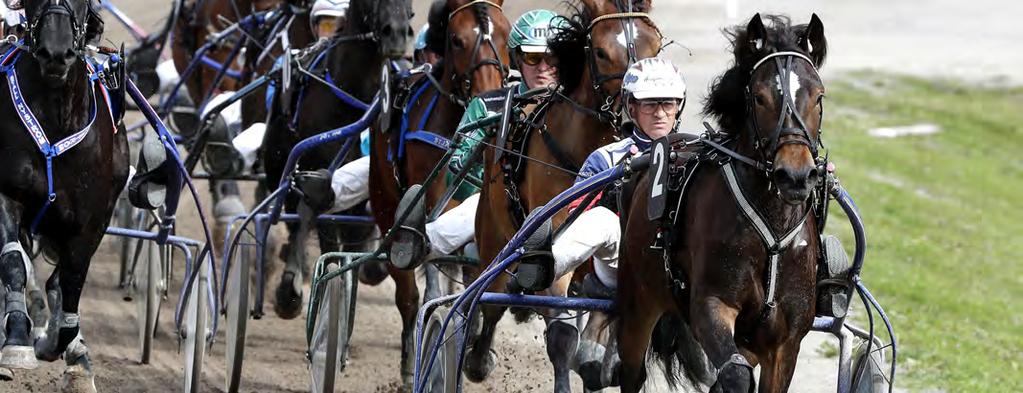 HÄSTAR, STARTER OCH PRISPENGAR Antal registrerade kallblod, antal startande, antal starter och utdelade prispengar (inklusive poänglopp).