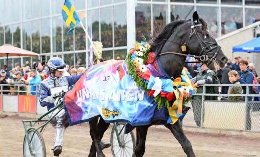 HÄSTAR, STARTER OCH PRISPENGAR Antal registrerade kallblod, antal startande, antal starter och utdelade prispengar (inklusive poänglopp).
