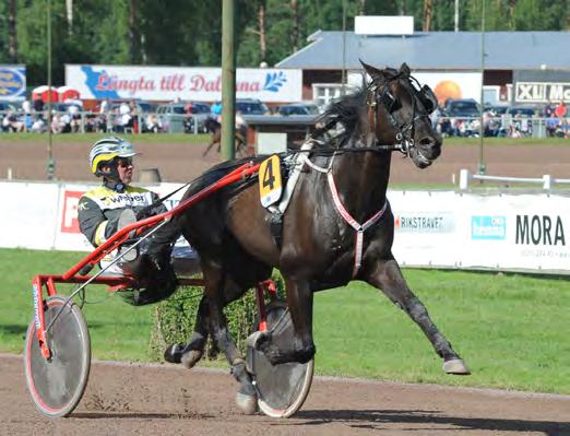 31 214 Frankrike 50 25 Italien 72 13 Litauen 2 2 Malta 2 64 Nederländerna 9 30 Norge 138 99 Rumänien