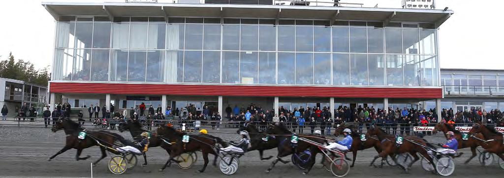 BANA FÖR BANA Antal lopp, antal startande, antal starter och utdelade prispengar per bana. Under 2017 arrangerade Umåker 24 tävlingsdagar.