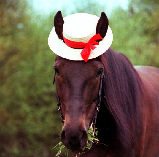 Elitloppet