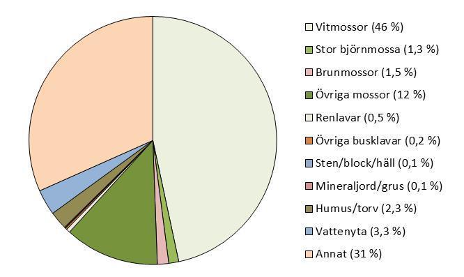 Figur 43. Andel av provytor i myr med förekomst av stora arter (beståndsbildande fältskiktsarter) i stora provytan, 2009-2013.