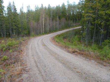 11 Figur 10: Vägen igenom restriktionsytan sedd från S Figur 11: Dike mot Väst-Skogtjärnen - trumma nedströms Bilderna ovan visar vägen och dike i anslutning till vägen.