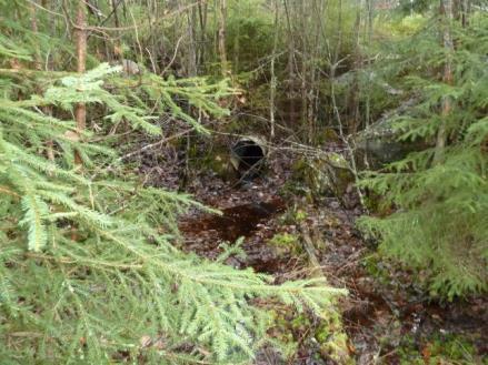 2 Bedömt behov av åtgärder samt konsekvens Vägen kommer att behöva förstärkas och breddas i kurvan.