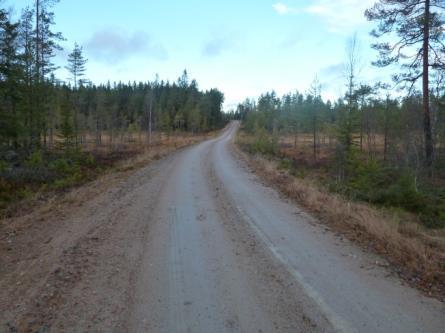 Södra delen med vägpassage över svantjärnsbäcken och våtmarken Vägen passerar söderifrån över Svarntjärnsbäcken. Trumman är ca. 9 m lång.