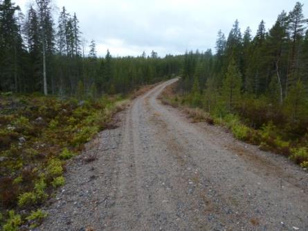 18 Figur 18: Vägen igenom restriktionsytan sedd från S Figur 19: Gångbergsbäcken - vägtrumma uppströms Vägen är 4 meter bred. Trumman för bäcken är ca 9 m lång.