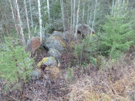 20 Figur 21: Vägen igenom nyckelbiotopen sedd från S Figur 22: Längs vägens östra sida ligger flera stora stenar och block.