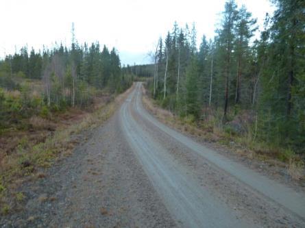 Sydvästra delen Vägen passerar Flöttjärnsbäcken i västra delen av naturvärdesområdet.