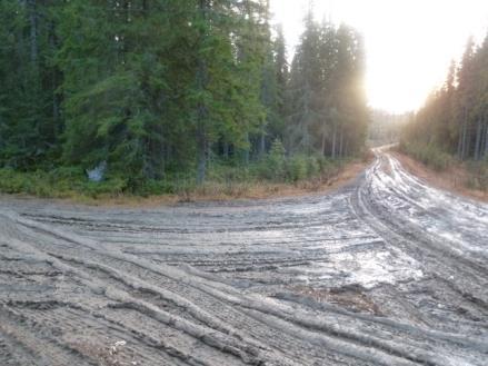 2 Bedömt behov av åtgärder samt konsekvens Hela vägsträckningen kommer att behöva förstärkas och befintliga diken kommer behöva rensas.