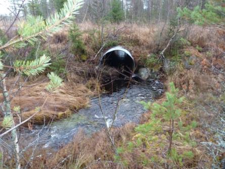 2 Bedömt behov av åtgärder samt konsekvens Vägen kommer att behöva förstärkas.