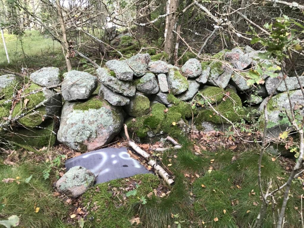 Delområde 2 Allmän beskrivning Ett delområde som till största delen består av sluten barrskog med inslag av blandskog, berghällar och fuktiga ytor och vattensamlingar.