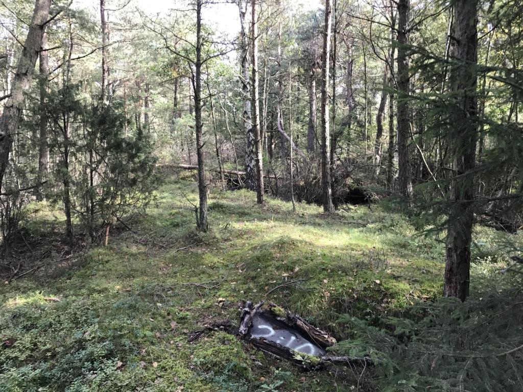 Skiva 2:10 utlagd i sluten skogsmiljö i de centrala delarna av delområde 2, bilden tagen mot sydost. Områdesbeskrivning delområde 2.