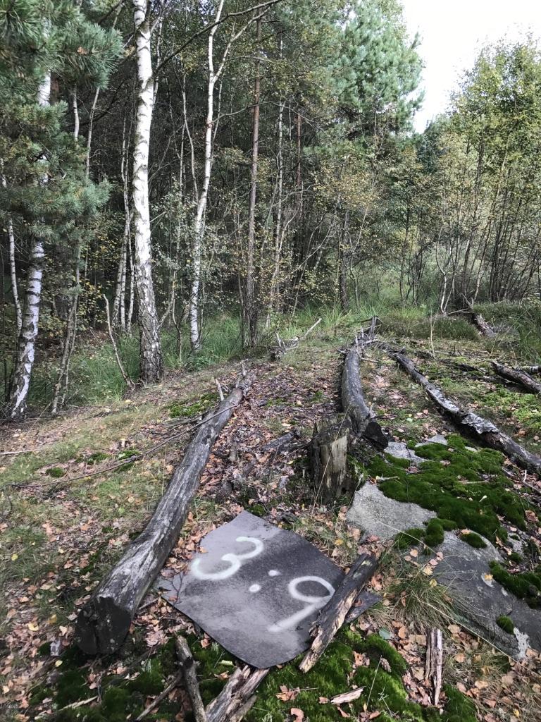 Skiva 3:9 utlagd i ljusöppen korridor mellan ledningsgata med unga björkar och