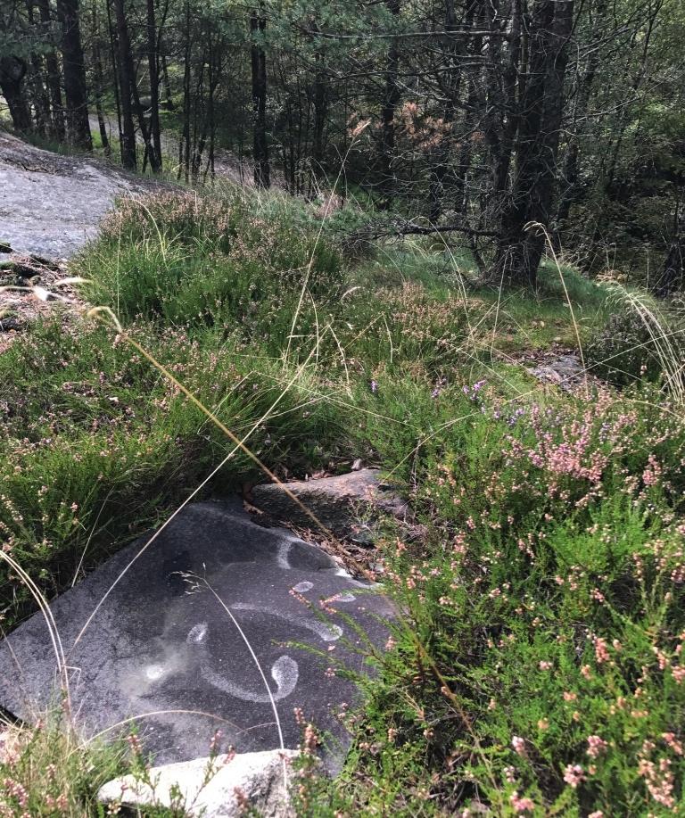 Fjärde besöket i delområde 3. Område/lokal 3 Koordinater SWEREF N 6401789, E 142820 Erik Börjesson Datum 2017-09-14 Tidpunkt/tid Från kl. 13:30 Till kl. 17:00 Sol Molningt Regn Temp.