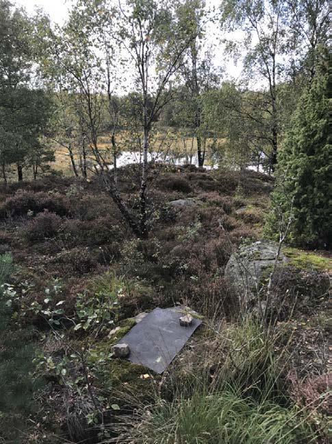 Vy mot söder i hällmarksmiljö i den östra delen av delområde 4. Områdesbeskrivning delområde 4.