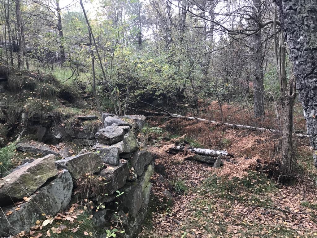 Delområde 5 Allmän beskrivning Liksom delområde 4 utgörs delområde 5 av en mosaikartad fördelning mellan kala hällmarker med ljung och enstaka tallar, sänkor med mer sluten skogskaraktär och fuktiga