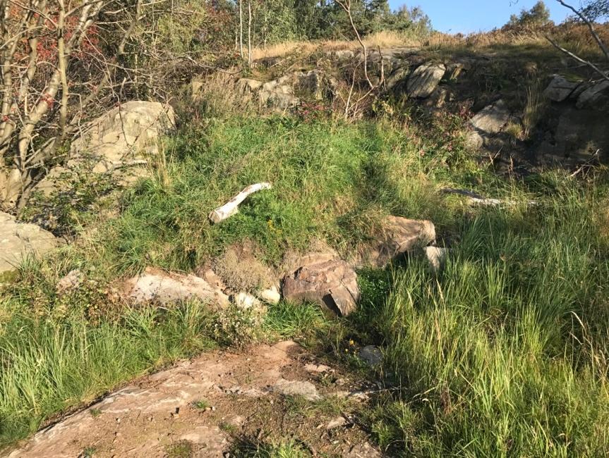 Konstgjord övervintringsplats i