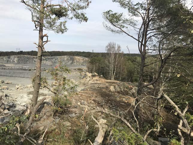 Delområde 7 Halvors äng Allmän beskrivning Ett delområde som till stor del utgörs av omväxlande lövskog och buskmark, med stor variation mellan djup skugga och ljusöppna lägen.