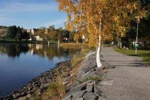Utmed kanalens promenadstråk växer björk på rad med vissa kompletteringar av mindre rönnträd.
