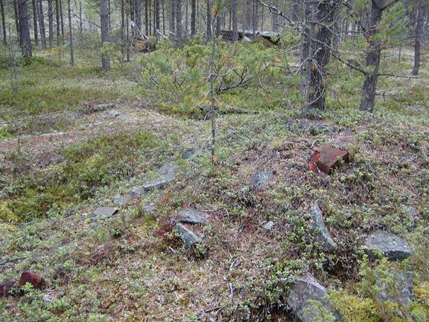Skogens miljövärden Utveckla kultur- och miljövärden på din fastighet Ett stöd för skogen i Landsbygdsprogrammet 2014-2020. Har du områden på din fastighet som är viktiga för natur, växter och djur?