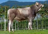 04 Proteins kg 42 Herds 0 Type and fitness traits index Longevity Milking speed Cells Exterieur Final Score 127