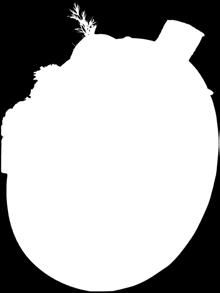 Ångaren BOHUSLÄN gästar därför Klädes holmen utanför Tjörn denna onsdag.