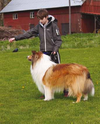 Det var 12 jyckar med mattar och hussar som kom och var med.
